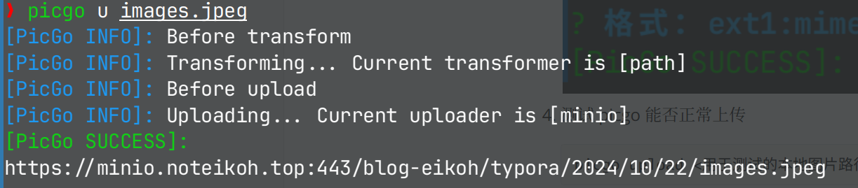 image-20241022171930929